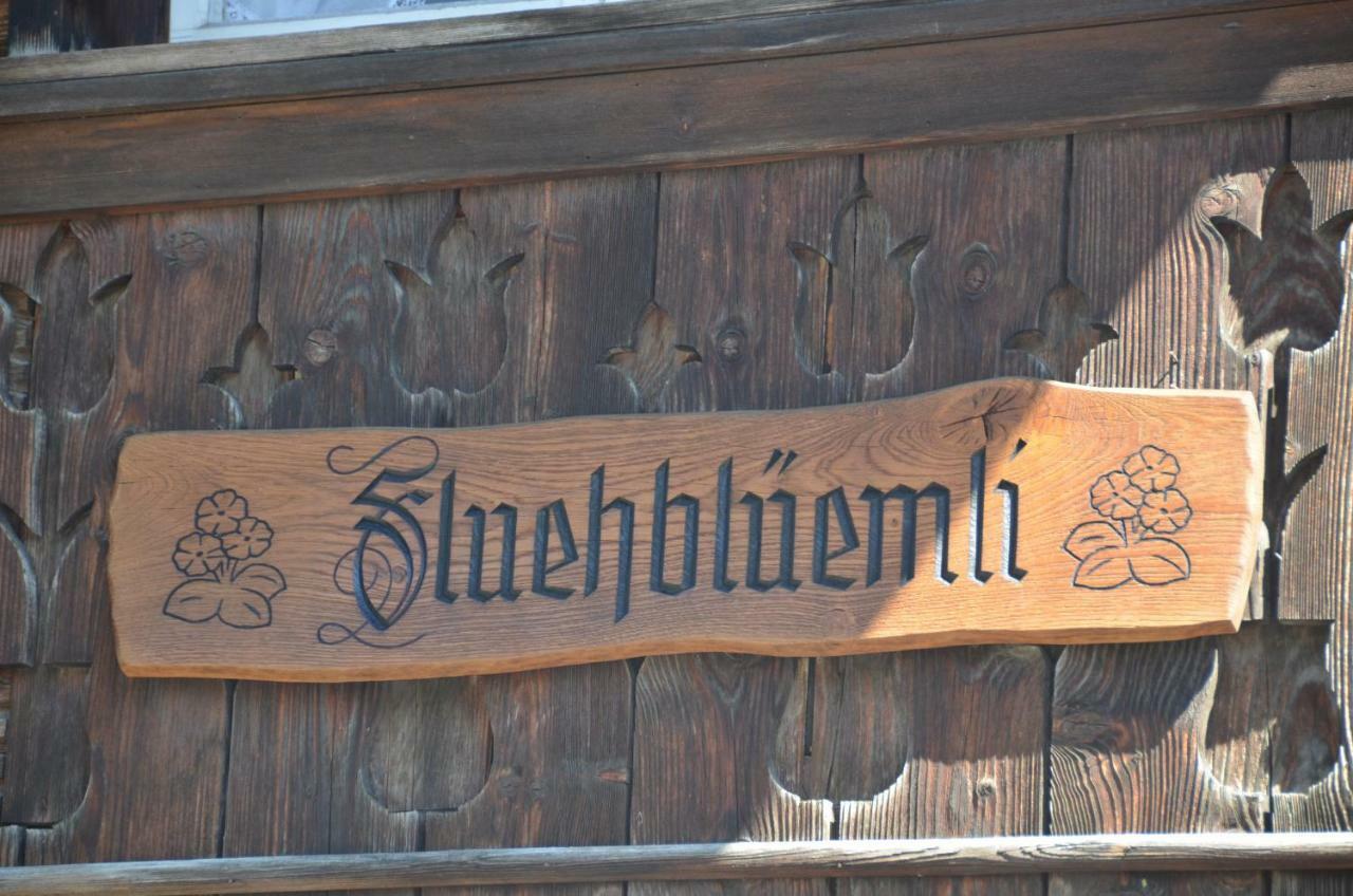 Fluehbluemli Apartment Grindelwald Ngoại thất bức ảnh